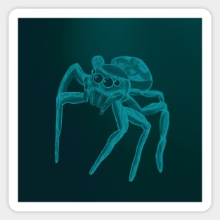 Jumping Spider Drawing V22 (Light Blue 2) Sticker